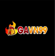 gavn99cocom