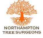 Northampton Tree Surgeon