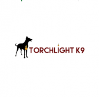 Torchlightk9