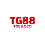 Tg88ceo
